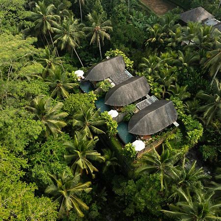 Abisena Wellness & Resort Ubud-Adult Only Buitenkant foto